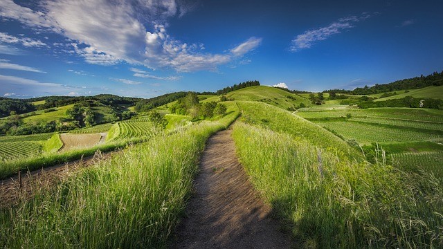 Una nuova iniziativa per un’agricoltura più sostenibile