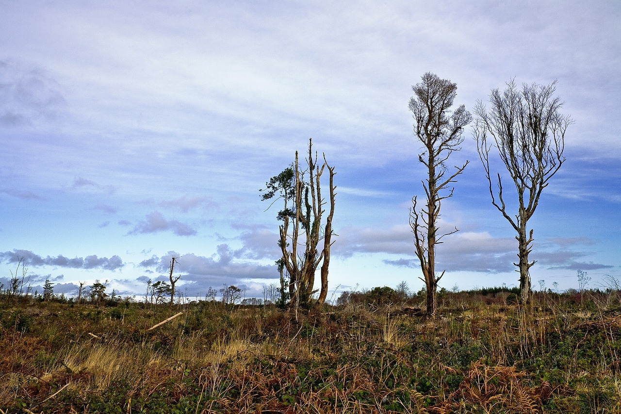 Climate refugees: the invisible ones